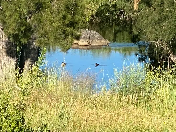 Second view of Homely land listing, 642 Woolbrook Road, Woolbrook NSW 2354