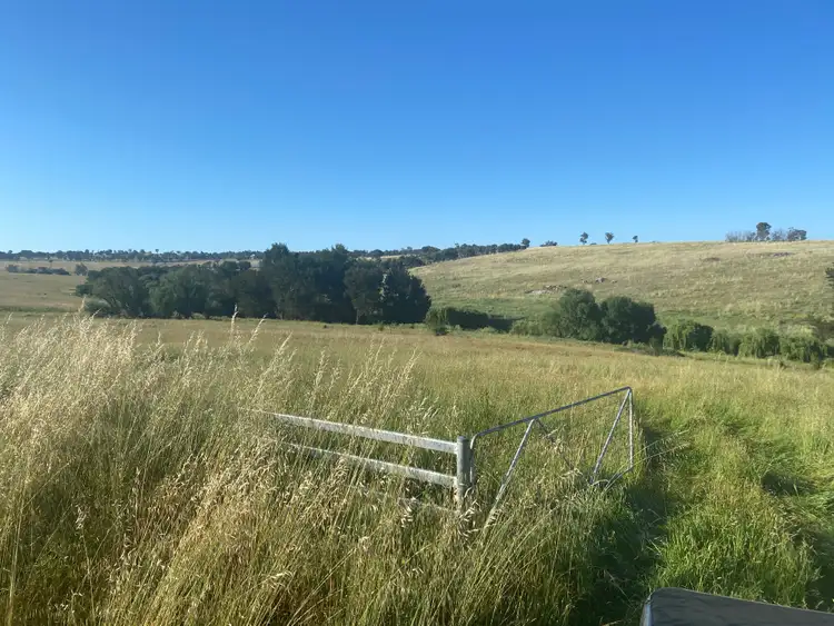 Third view of Homely land listing, 642 Woolbrook Road, Woolbrook NSW 2354