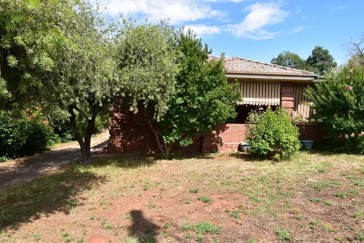 Second view of Homely house listing, 113 Arthur Street, Wellington NSW 2820