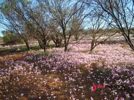 Second view of Homely land listing, 26 SHORT STREET, Mullewa WA 6630