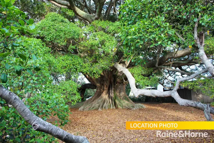 Third view of Homely land listing, LOT 3, 1C Valley View Close, Milton NSW 2538