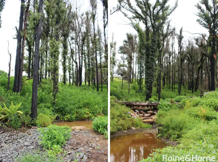 Seventh view of Homely land listing, 7 Bowness Close, Conjola Park NSW 2539