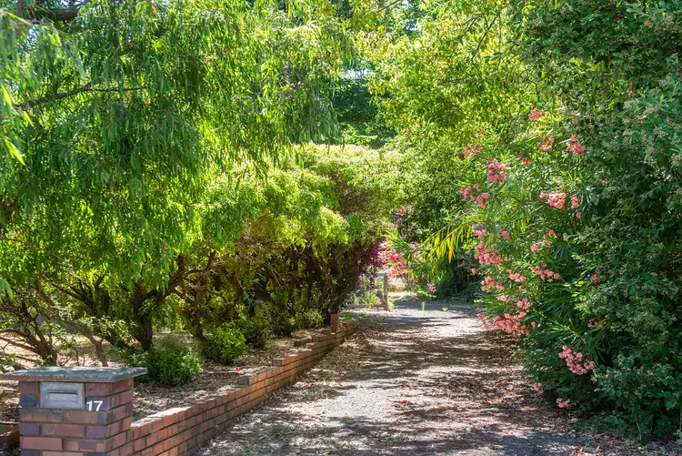 Seventh view of Homely house listing, 17 Town View Terrace, Margaret River WA 6285