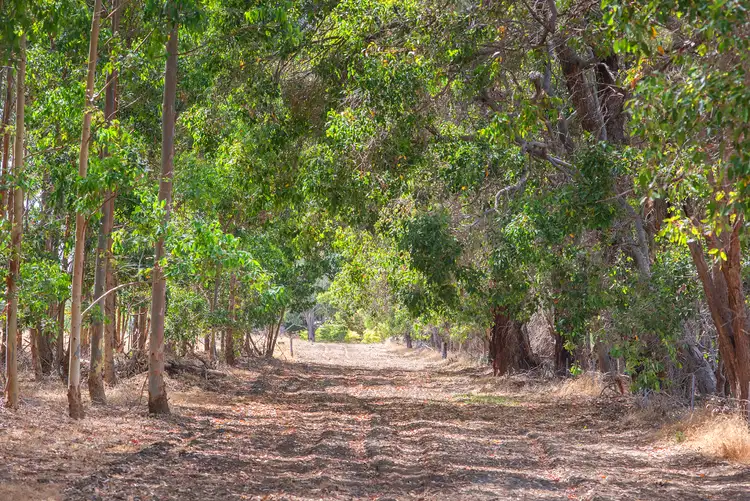 Lot 23 Wildwood Road, Quindalup WA 6281