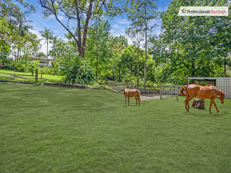 Third view of Homely house listing, 52 Monday Drive, Tallebudgera Valley QLD 4228