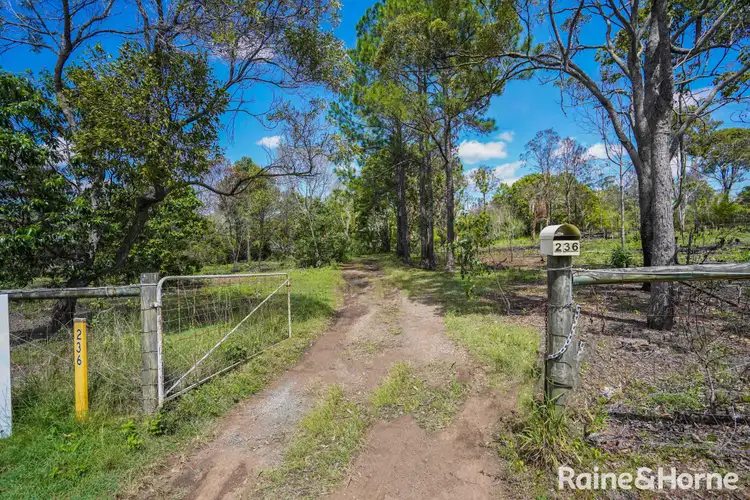 236 Condor Drive, Sunshine Acres QLD 4655