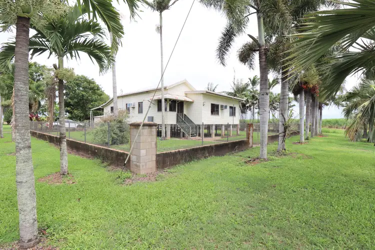 Main view of Homely house listing, 423 Kilrie Road, Jarvisfield QLD 4807