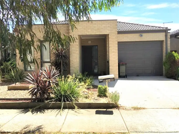 40 Brummel Street