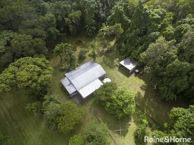 Second view of Homely house listing, 197 (Lot 76) Forest Creek Road, Daintree QLD 4873