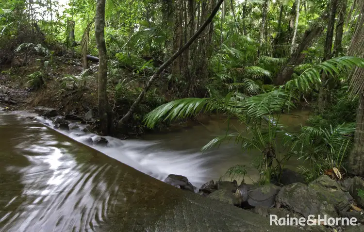 Fourth view of Homely house listing, 197 (Lot 76) Forest Creek Road, Daintree QLD 4873