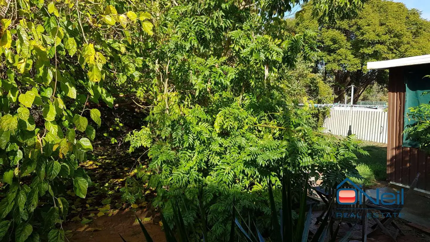 Main view of Homely house listing, 13 Deerness Way, Armadale WA 6112