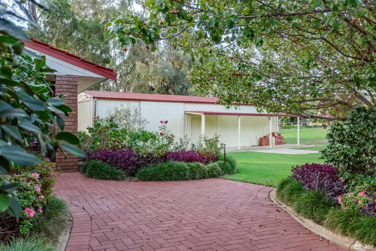 Fifth view of Homely house listing, 99 Clifton Street, Kelmscott WA 6111