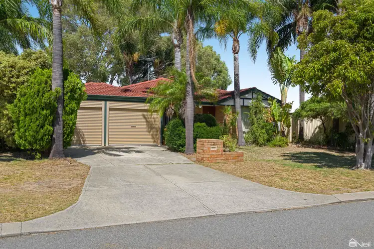 Main view of Homely house listing, 3 Banjo Close, Seville Grove WA 6112