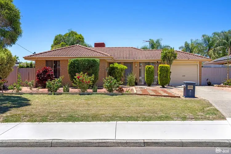 16 Fortunella Grove, Seville Grove WA 6112