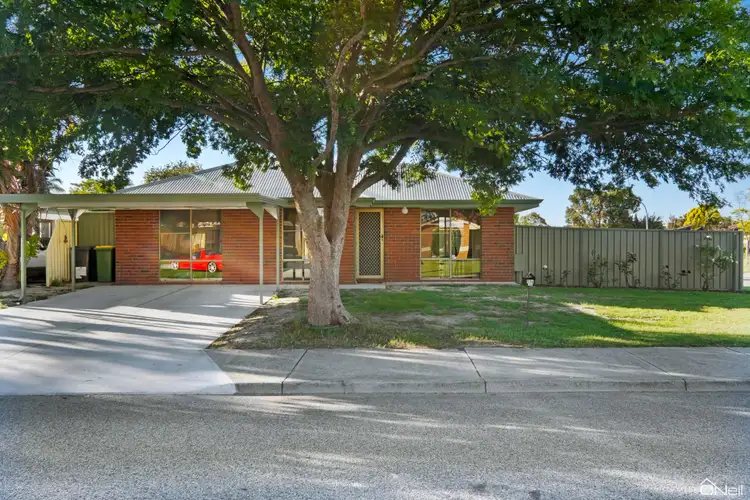 114 Riverside Lane, Seville Grove WA 6112