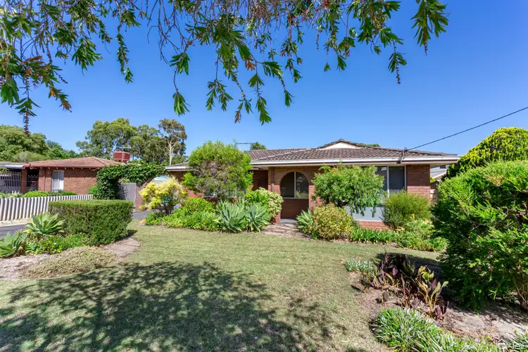 Main view of Homely house listing, 13 Cobham Way, Camillo WA 6111