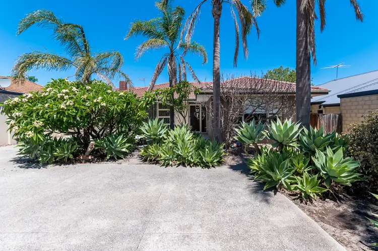 Main view of Homely house listing, 1/113 Riseley Street, Ardross WA 6153
