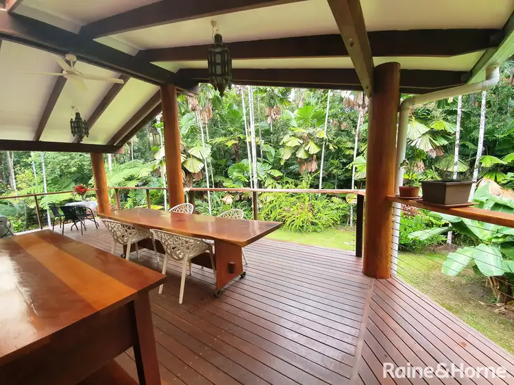 Fourth view of Homely house listing, 113 Palm Road DIWAN, Daintree QLD 4873