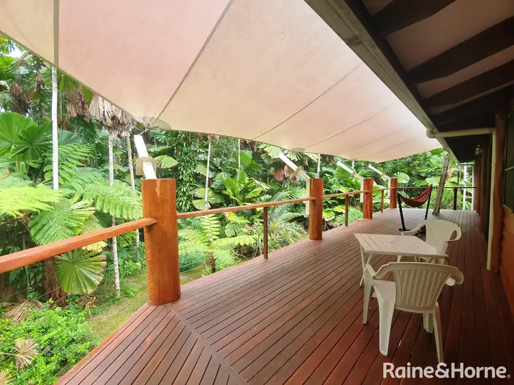 Fifth view of Homely house listing, 113 Palm Road DIWAN, Daintree QLD 4873