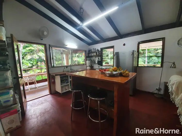Seventh view of Homely house listing, 113 Palm Road DIWAN, Daintree QLD 4873
