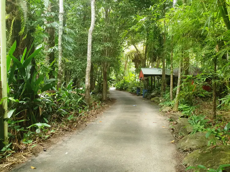 Seventh view of Homely other listing, 336 (1473) Cape Trib Road, DAINTREE RAINFOREST RETREAT MOTEL, Daintree QLD 4873