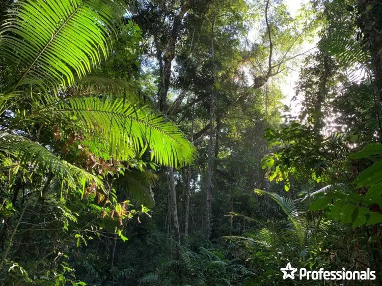 Main view of Homely land listing, LOT 500, SP262378 Bloomfield Road, Bloomfield QLD 4895