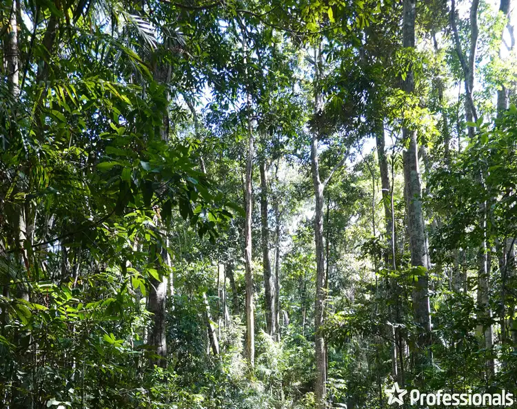 Seventh view of Homely land listing, LOT 500, SP262378 Bloomfield Road, Bloomfield QLD 4895