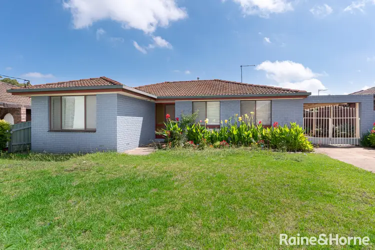Main view of Homely house listing, 43 Crawford Street, Ashmont NSW 2650