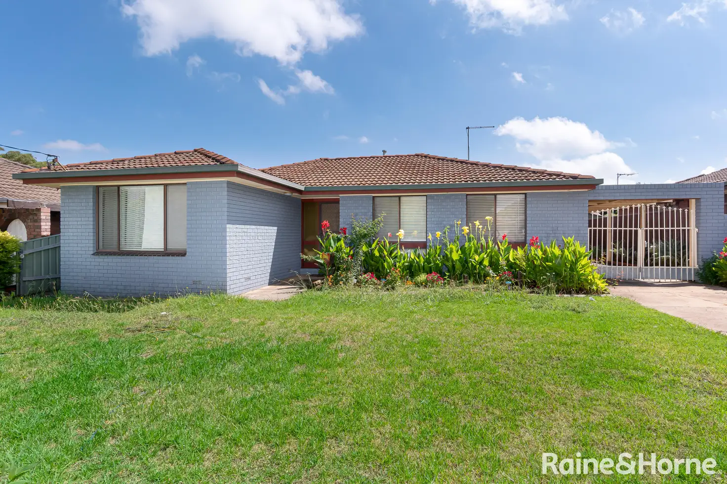 Main view of Homely house listing, 43 Crawford Street, Ashmont NSW 2650