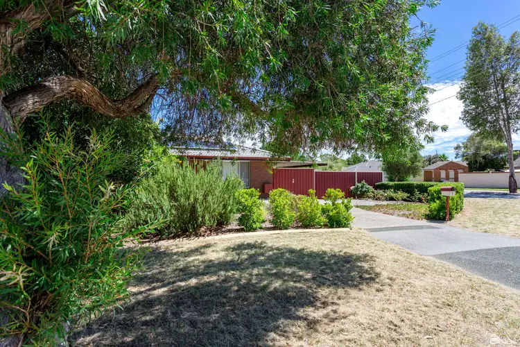 1 Agnew Place, Armadale WA 6112
