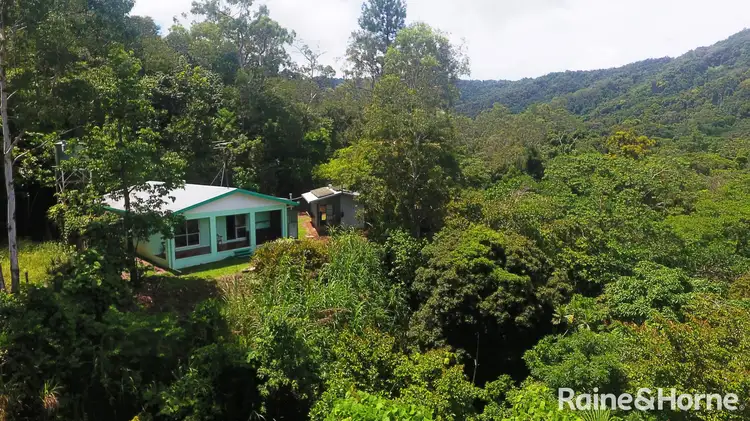 Second view of Homely house listing, 343 Buchanan Creek Road, COW BAY, Daintree QLD 4873