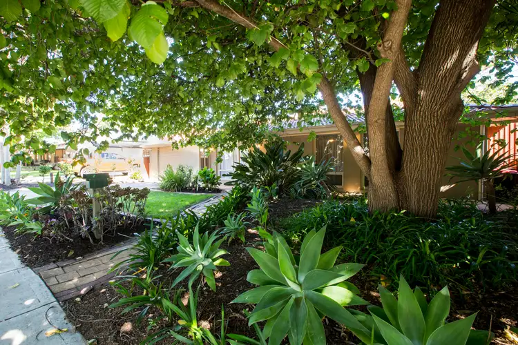 Second view of Homely house listing, 8 Riordan Street, Morphett Vale SA 5162