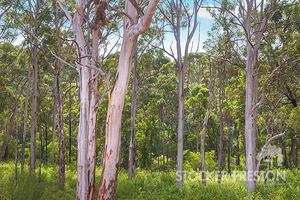 Second view of Homely land listing, 26 Formosa Street, Margaret River WA 6285