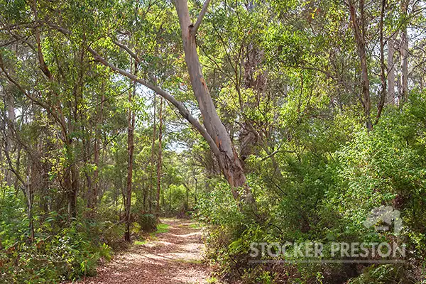 Fourth view of Homely land listing, 26 Formosa Street, Margaret River WA 6285