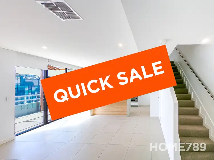 Main view of Homely apartment listing, 13/117 Bowden Street, Meadowbank NSW 2114