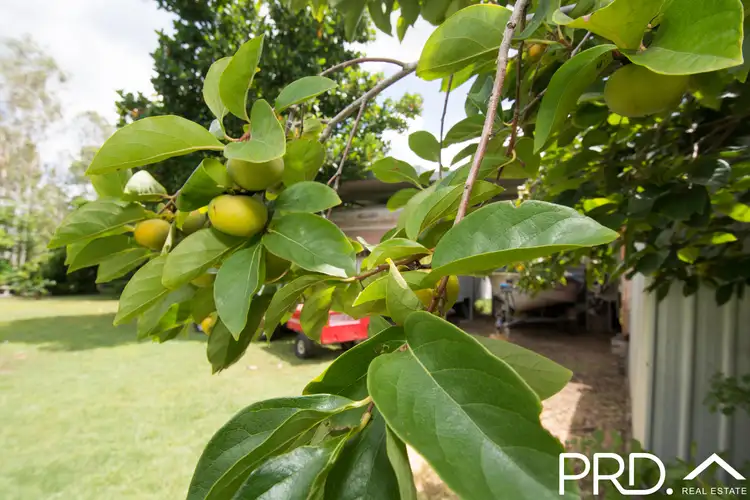 Fifth view of Homely house listing, 2151 Tableland Road, Mount Maria QLD 4674