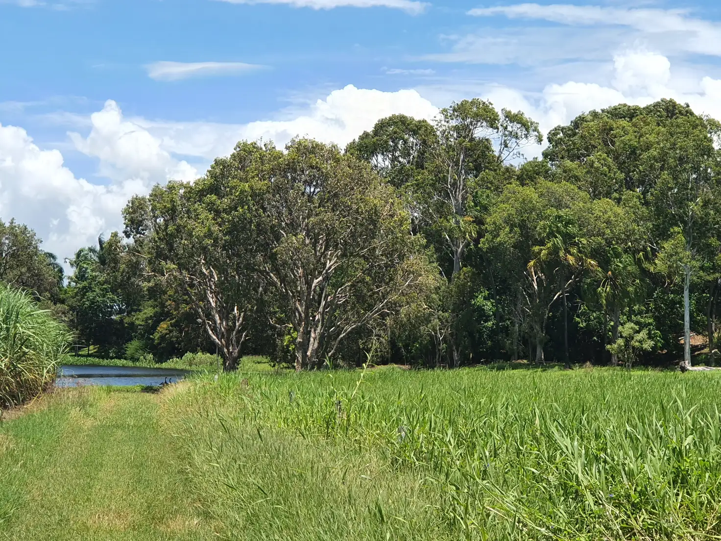 Main view of Homely land listing, 7-17 Stace Road, Ayr QLD 4807