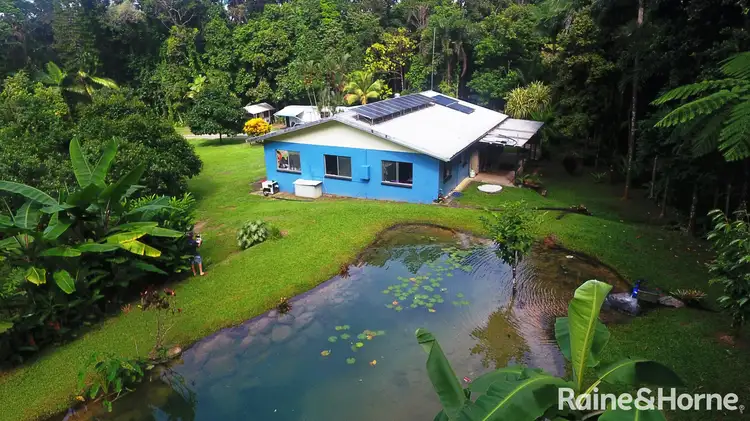 Second view of Homely house listing, 246 (Lot 27) Forest Creek Road, Daintree QLD 4873