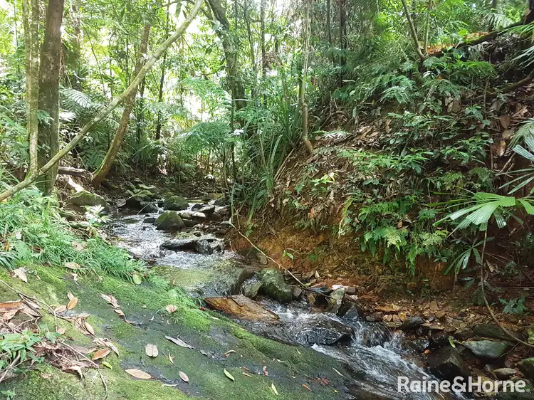 Third view of Homely house listing, 246 (Lot 27) Forest Creek Road, Daintree QLD 4873