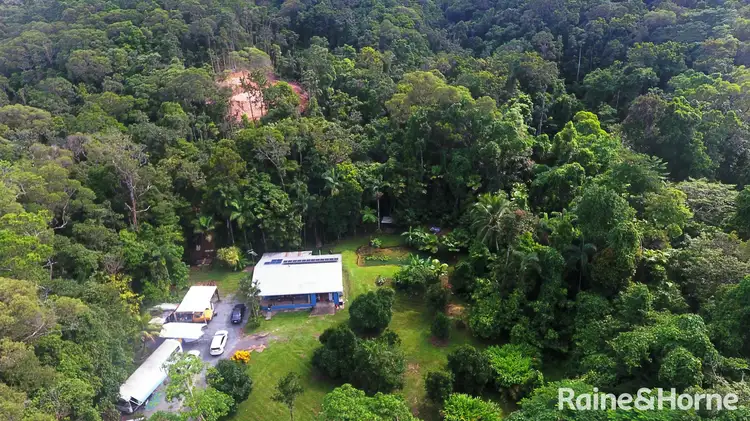 Fourth view of Homely house listing, 246 (Lot 27) Forest Creek Road, Daintree QLD 4873