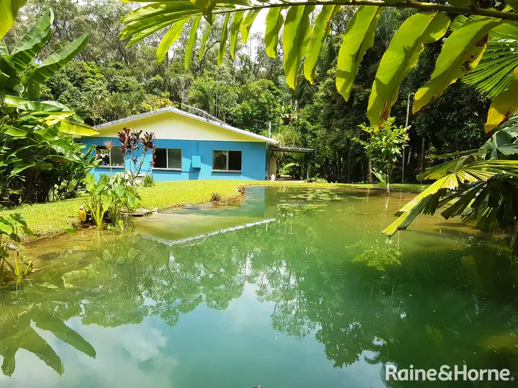 Fifth view of Homely house listing, 246 (Lot 27) Forest Creek Road, Daintree QLD 4873