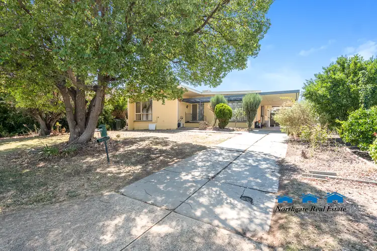 Main view of Homely house listing, 20 Hillary Crescent, Modbury North SA 5092