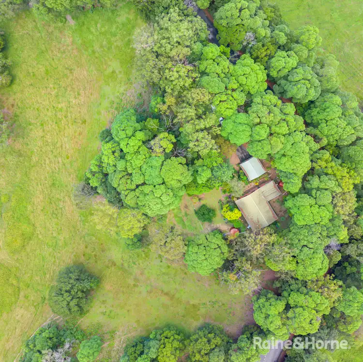 Third view of Homely house listing, 1769 Reserve Creek Road, Cudgera Creek NSW 2484