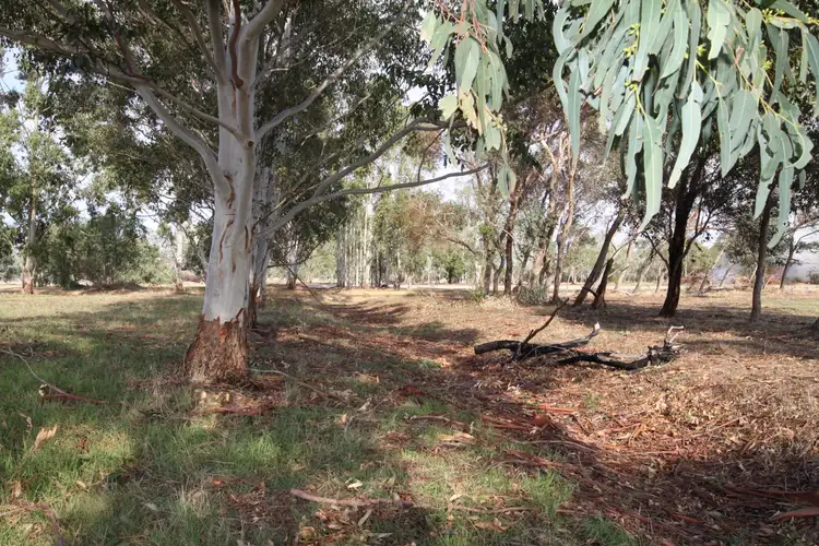 Sixth view of Homely land listing, Lot 814 Hamelin Road, North Dandalup WA 6207