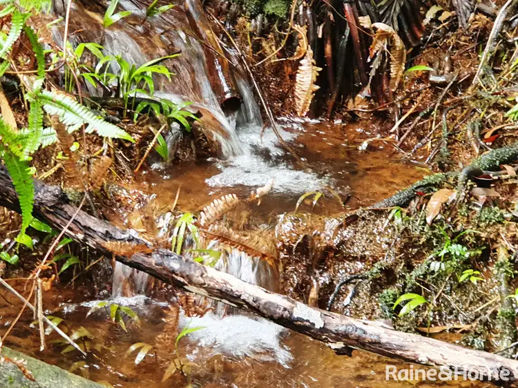 Third view of Homely land listing, Lot 45 Ronald Road FOREST CREEK, Daintree QLD 4873