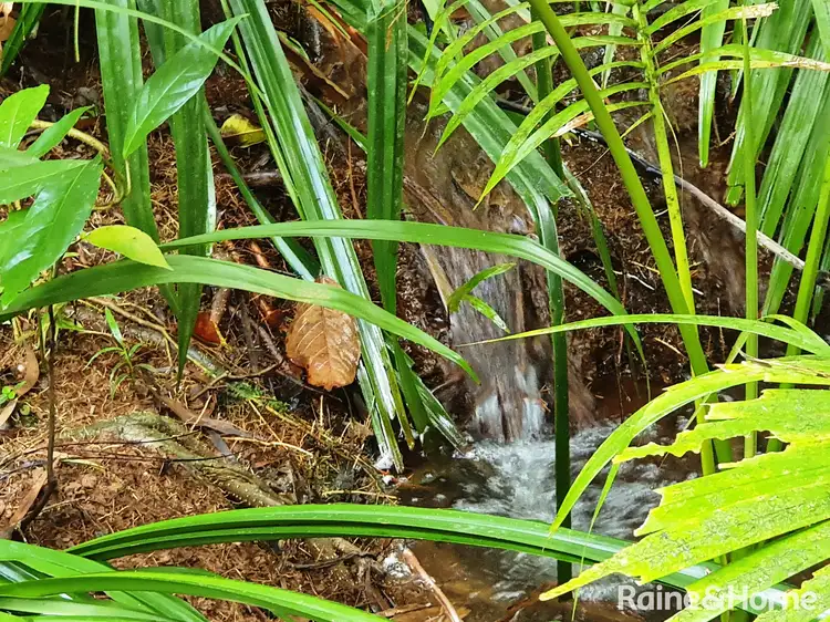 Fifth view of Homely land listing, Lot 45 Ronald Road FOREST CREEK, Daintree QLD 4873