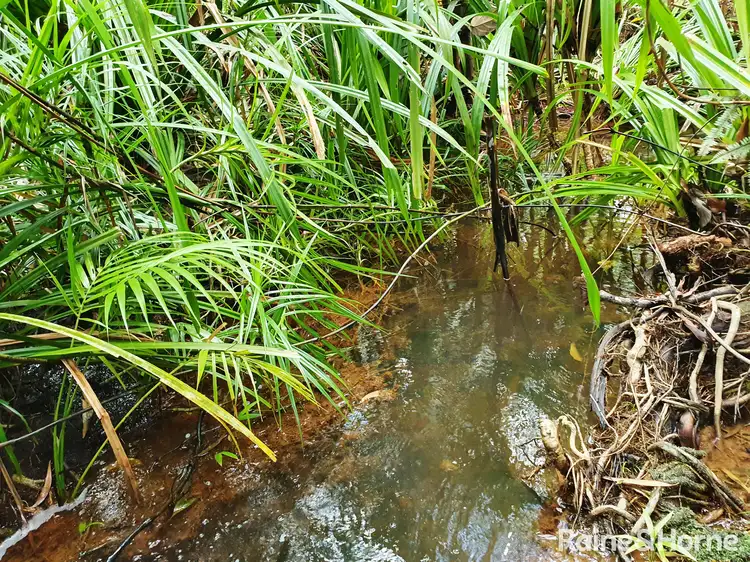 Sixth view of Homely land listing, Lot 45 Ronald Road FOREST CREEK, Daintree QLD 4873