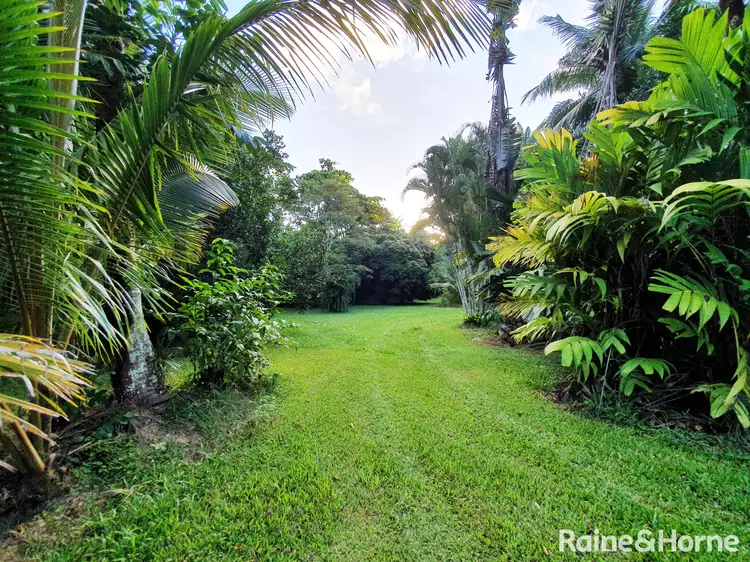 Third view of Homely house listing, 94 Ironbark Road, DIWAN, Daintree QLD 4873