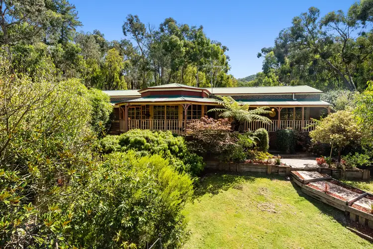 Main view of Homely house listing, 16 Kalamunda Terrace, Healesville VIC 3777