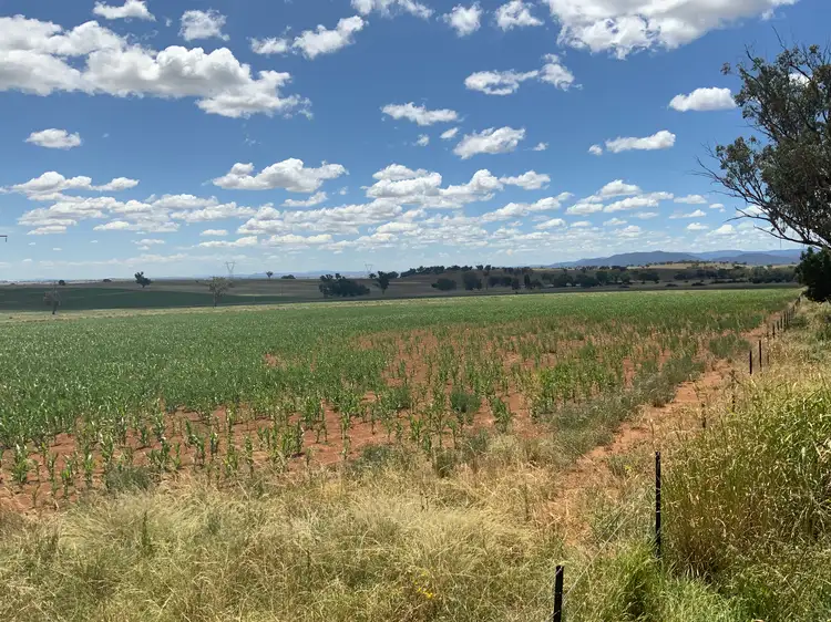 Main view of Homely land listing, Lot 6, 1156 Marsden Park Road, Tamworth NSW 2340